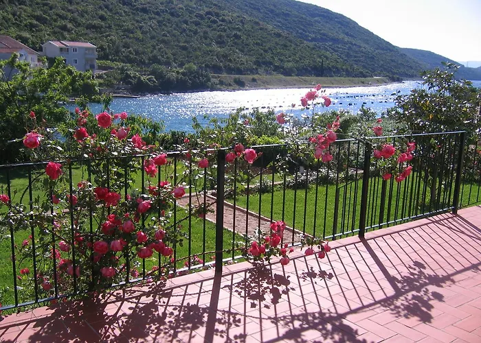 Apartmani Tia
